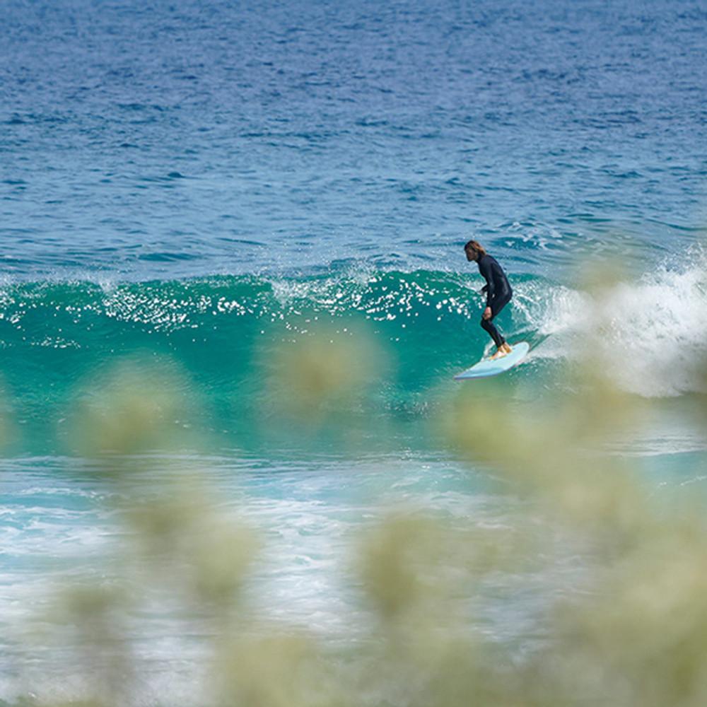 Ocean and Earth | 9'0 Ezi-Rider Log Dog | Soft Longboard | Classic Shape Single Fin Mailbu